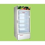 Tủ mát Sanaky VH300K (W)